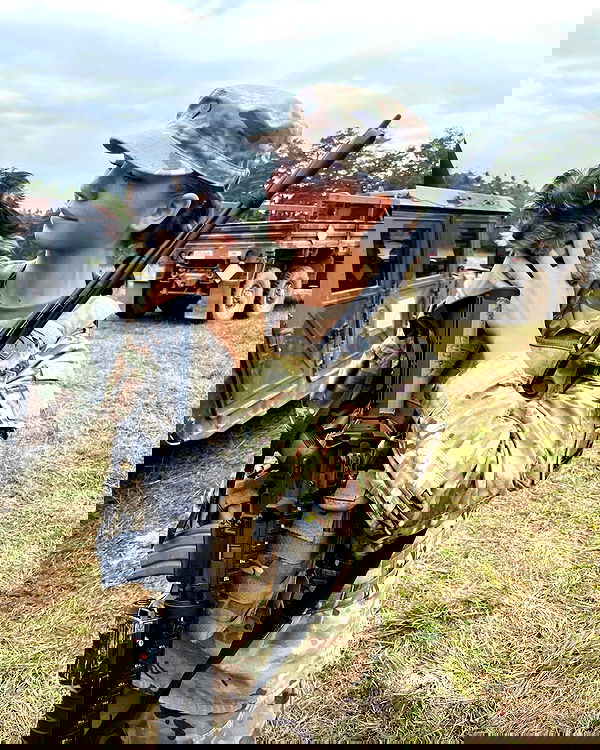 haylujan image ~ Altpins