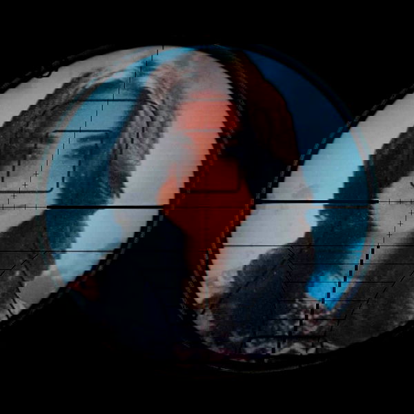 haylujan image ~ Altpins