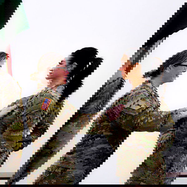 haylujan image ~ Altpins