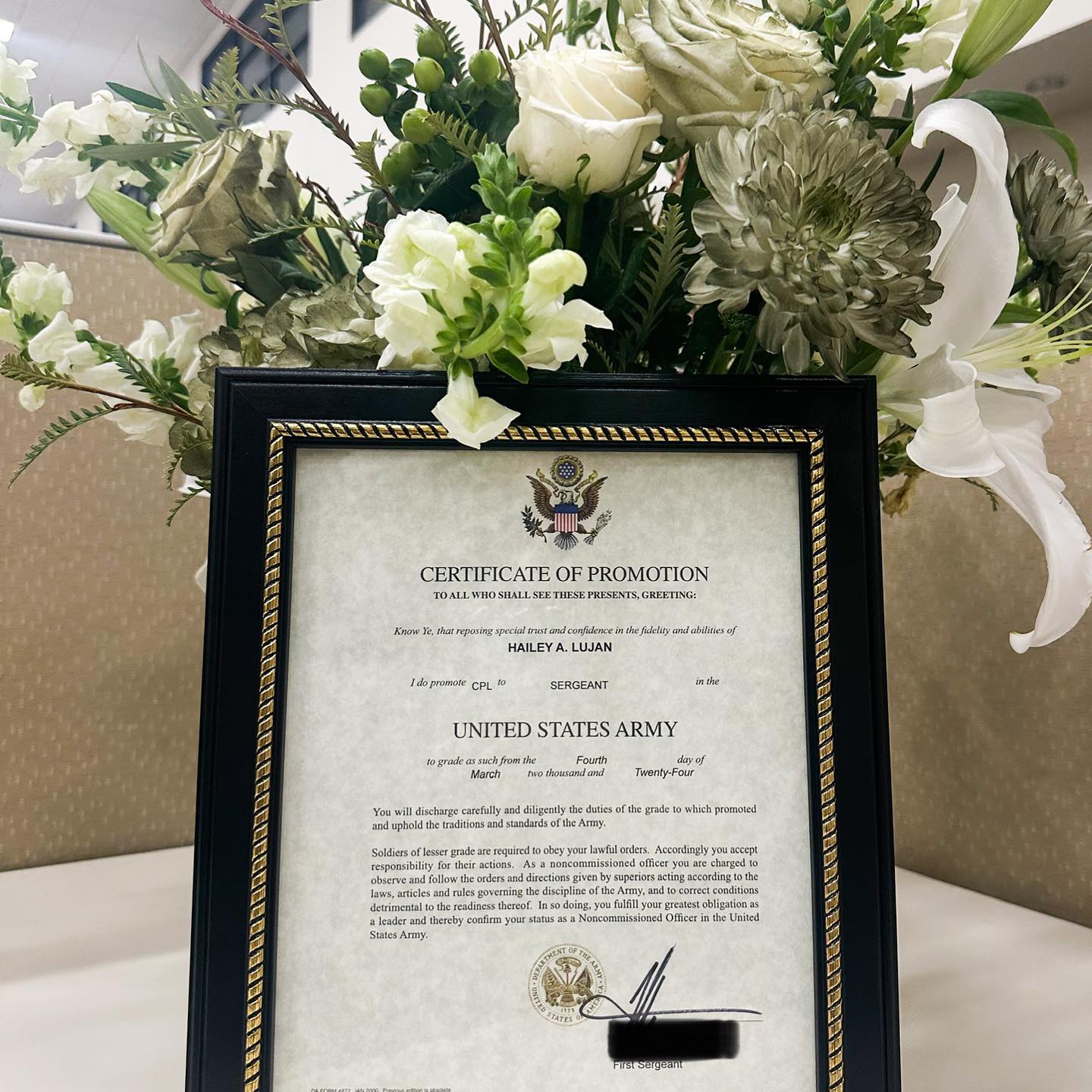 haylujan instagram image archive image