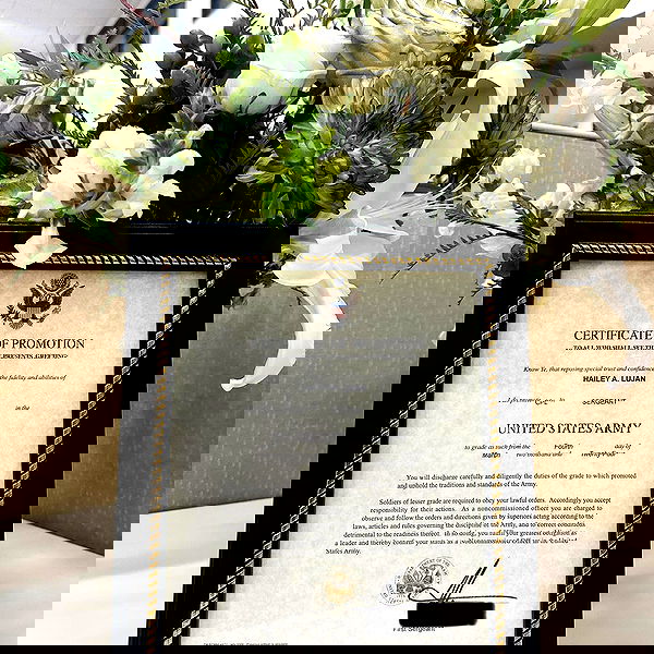 haylujan image ~ Altpins