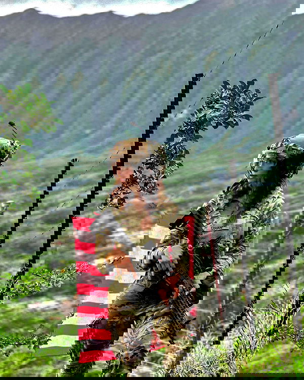 haylujan image ~ Altpins