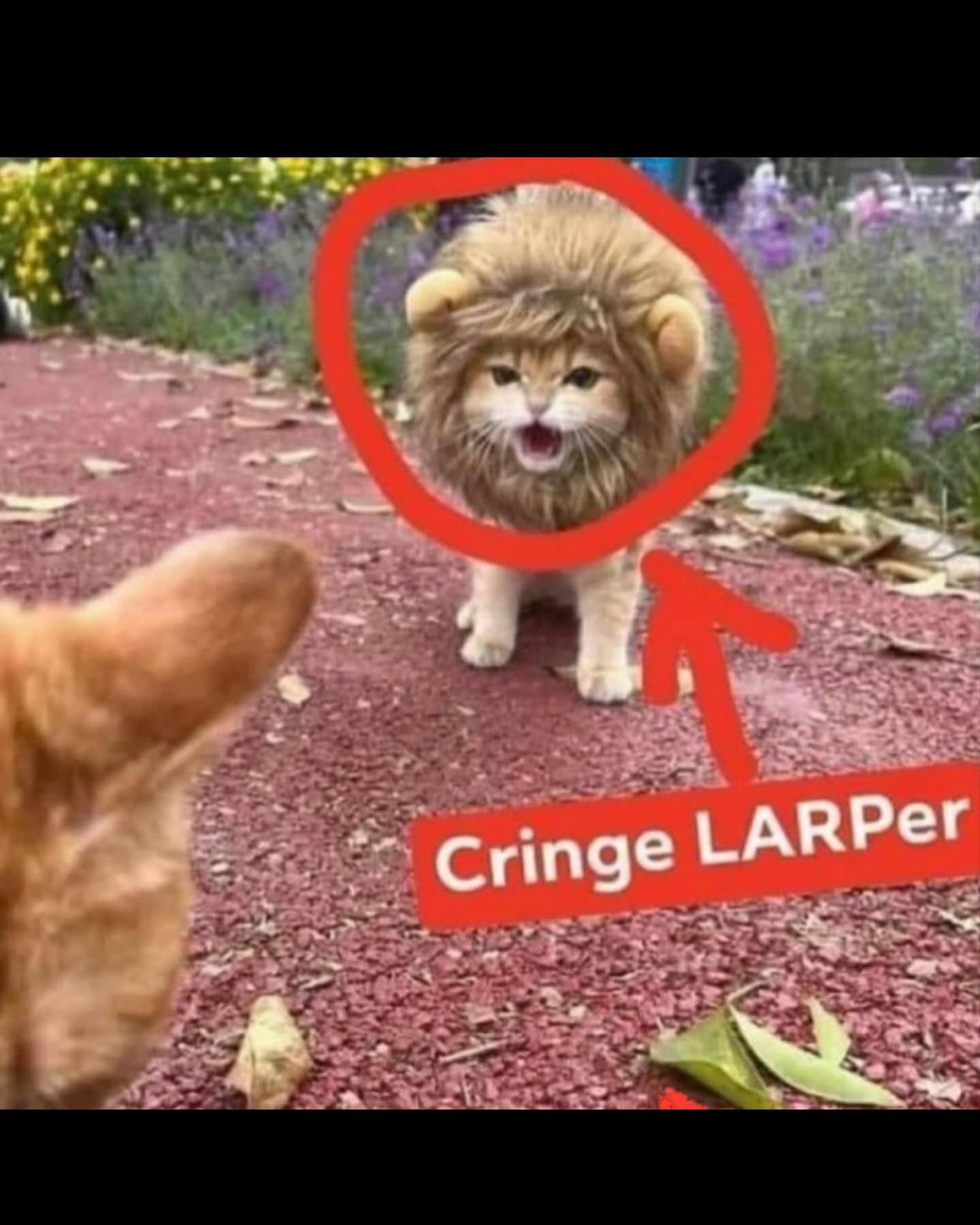 haylujan instagram image archive image