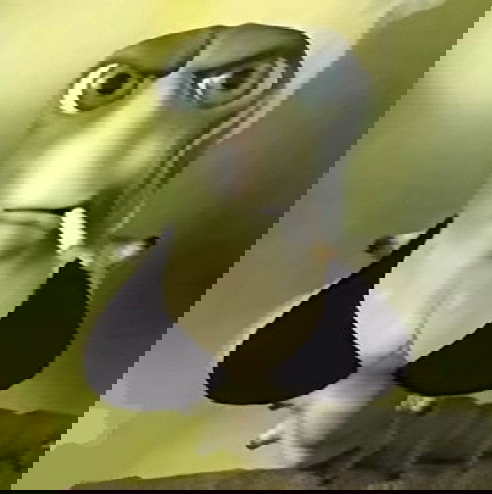 haylujan instagram image archive image