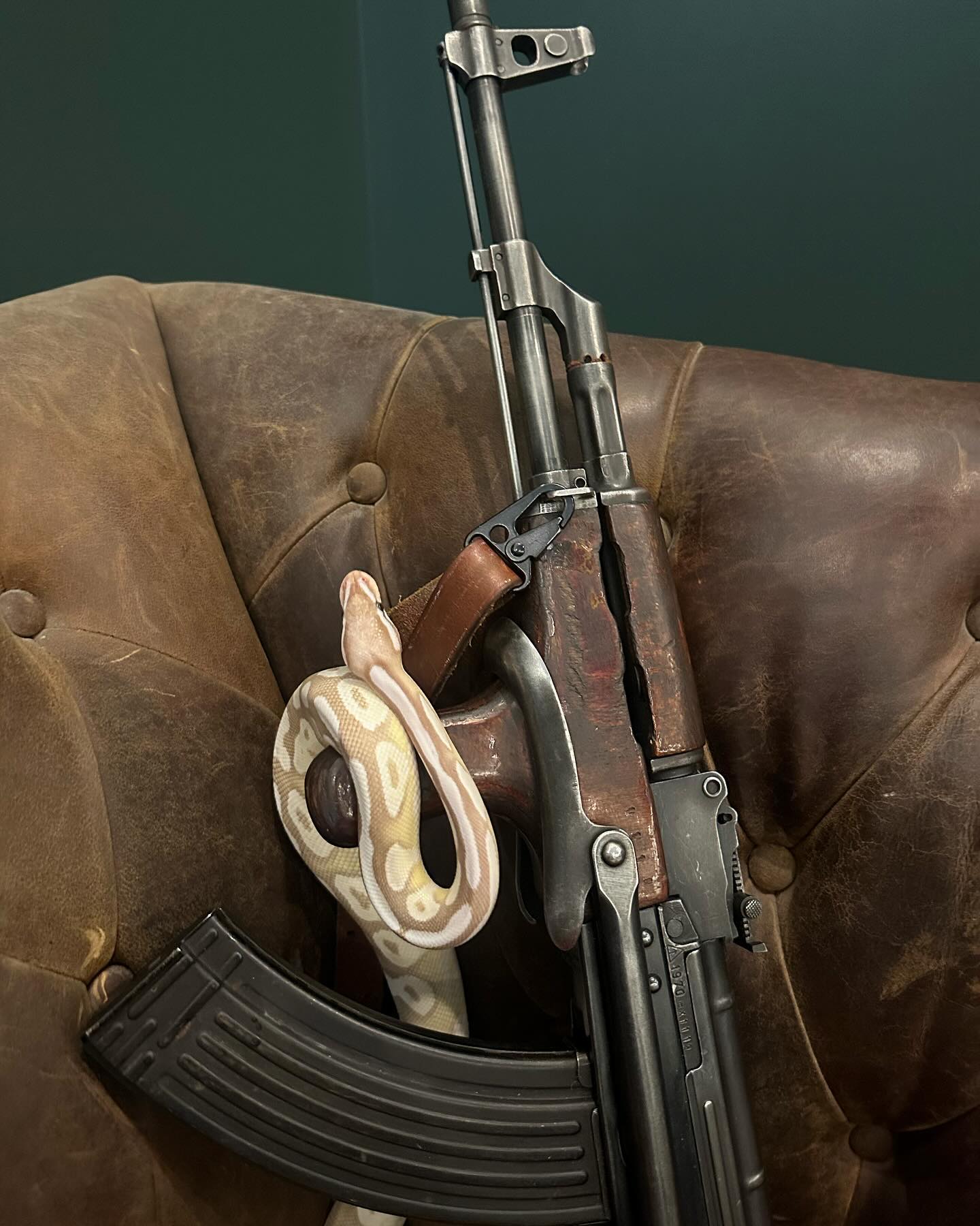 haylujan instagram image archive image