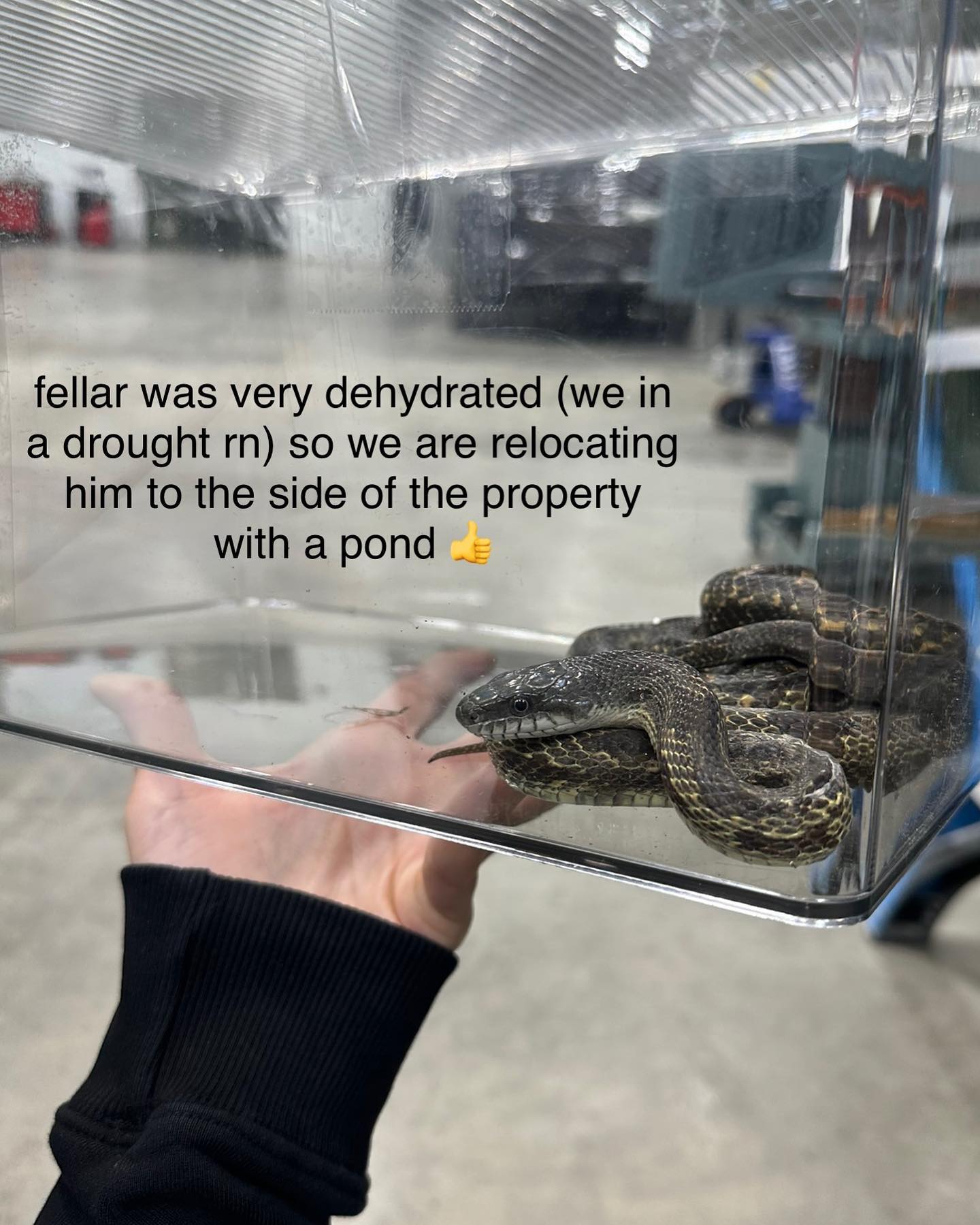 haylujan instagram image archive image