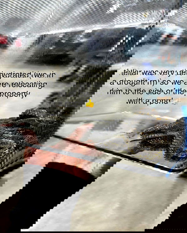 haylujan image ~ Altpins