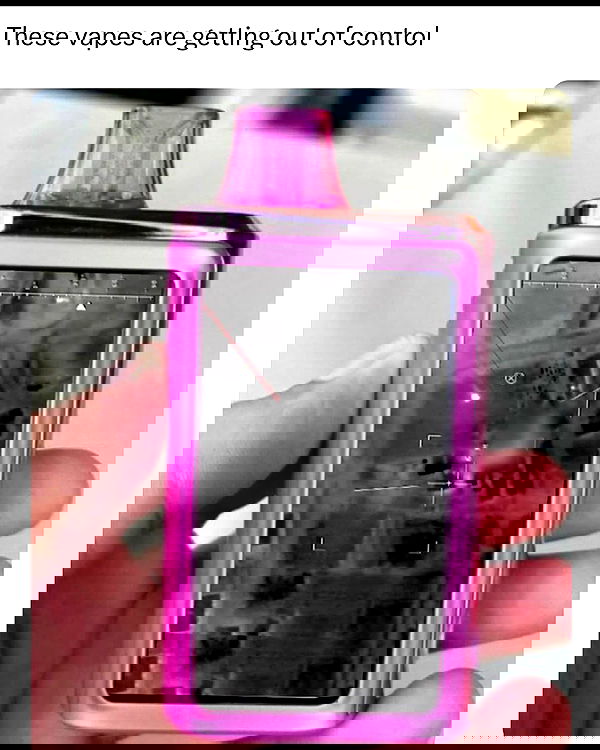 haylujan image ~ Altpins