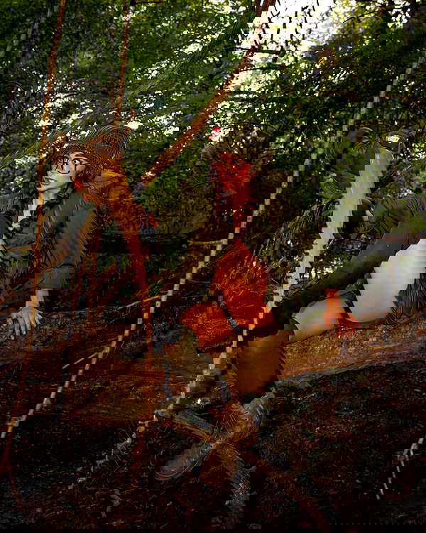 haylujan image ~ Altpins