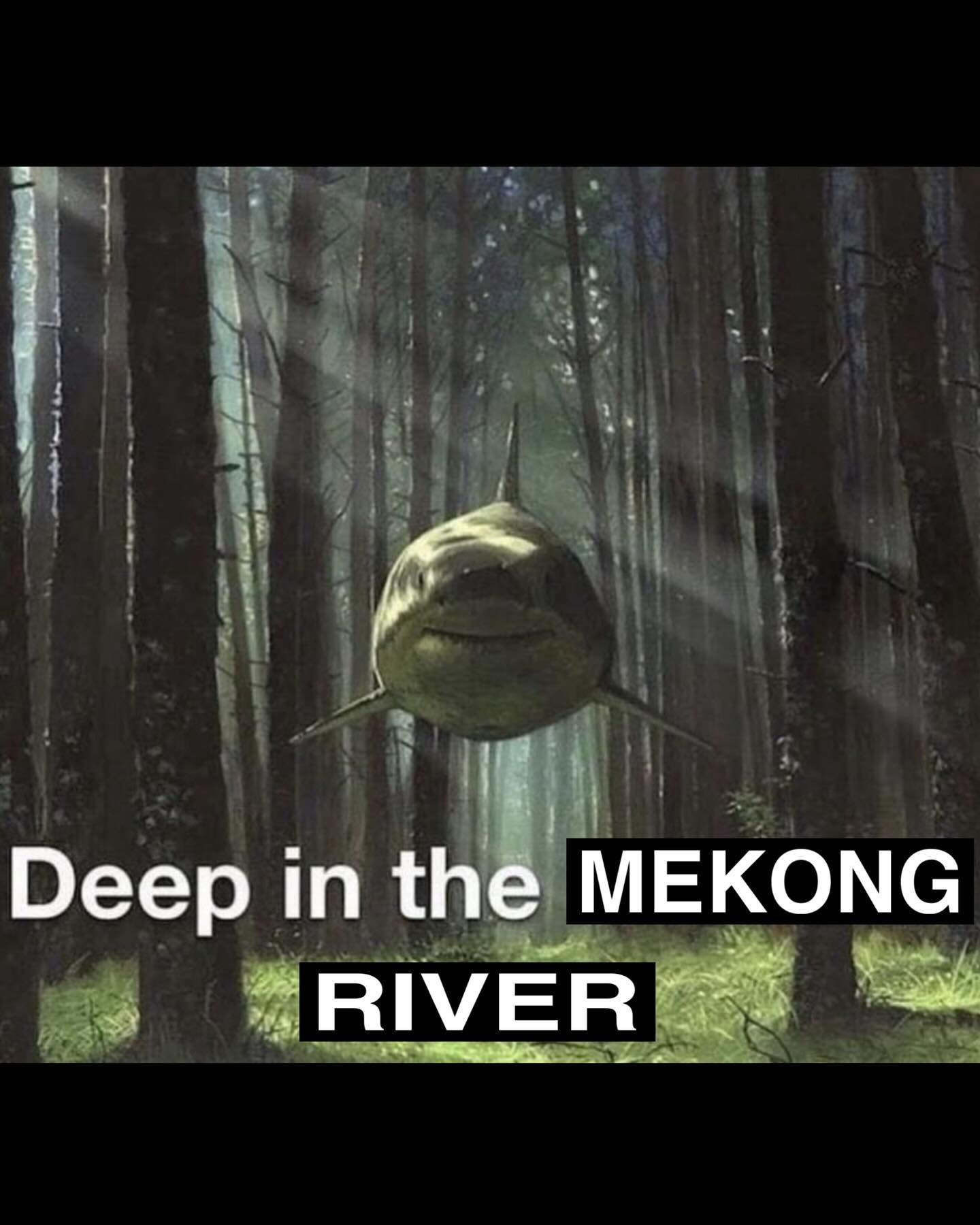 haylujan instagram image archive image