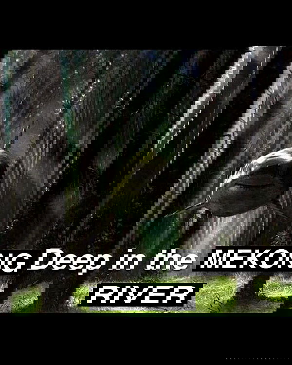 haylujan image ~ Altpins