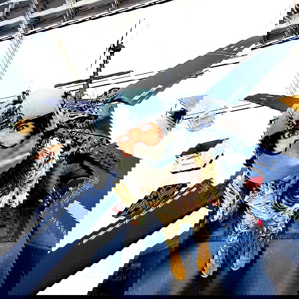 haylujan image ~ Altpins