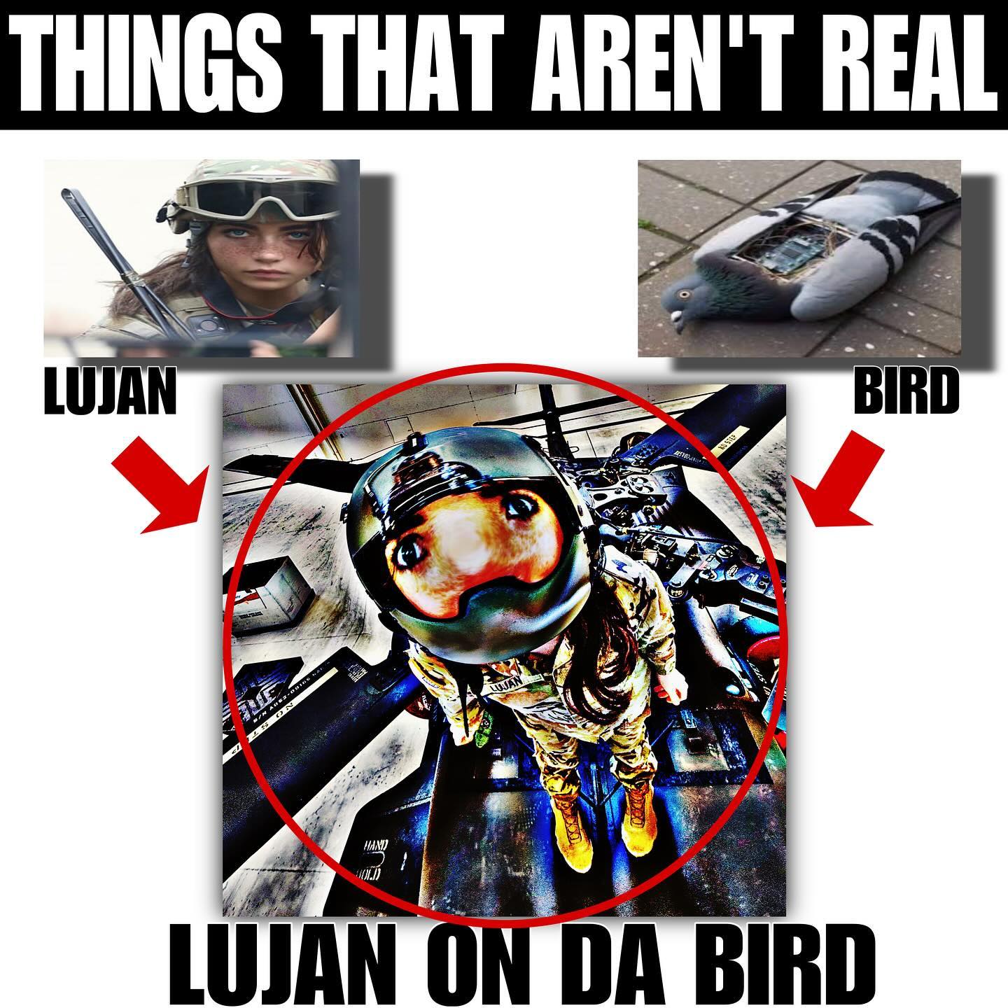 haylujan instagram image archive image