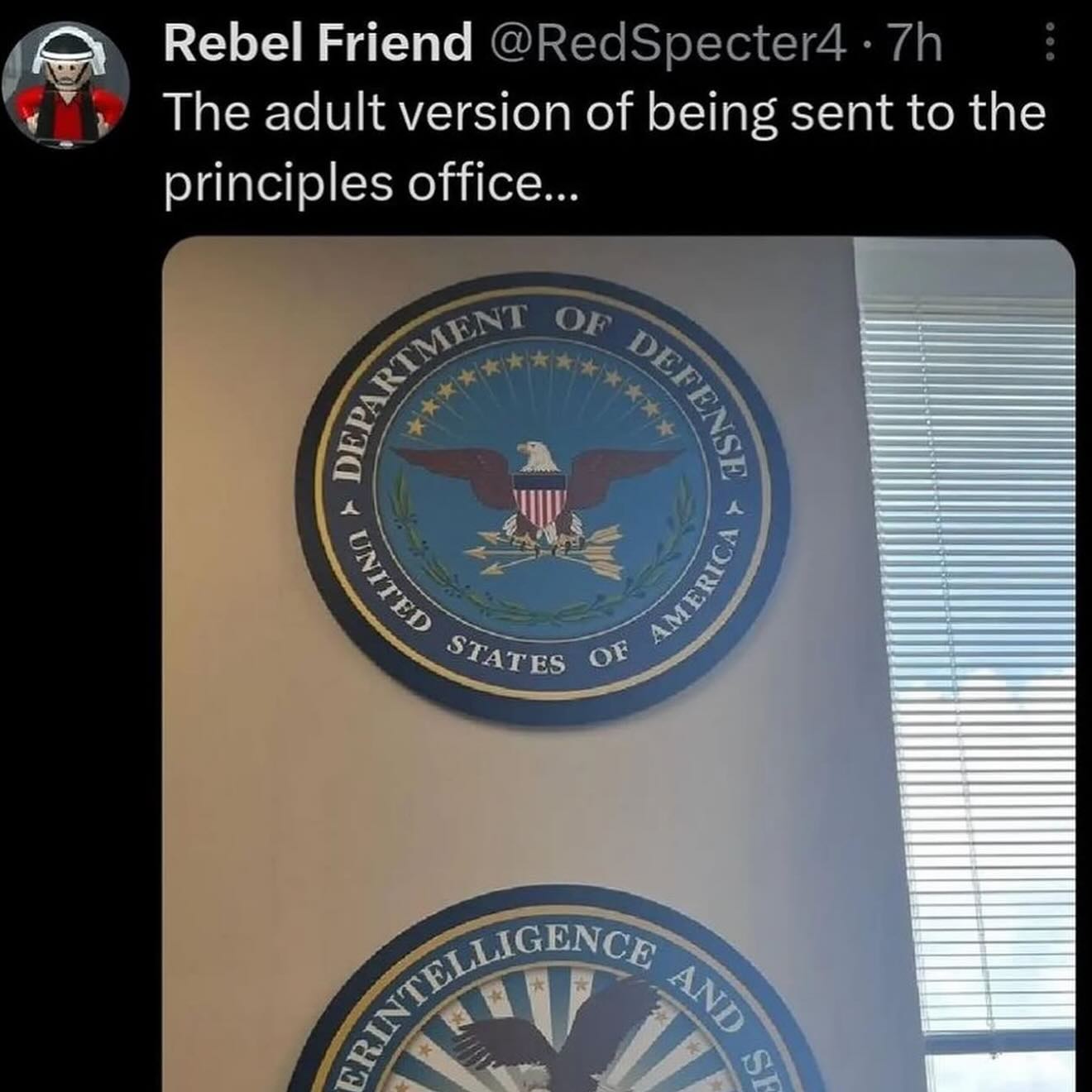 haylujan instagram image archive image