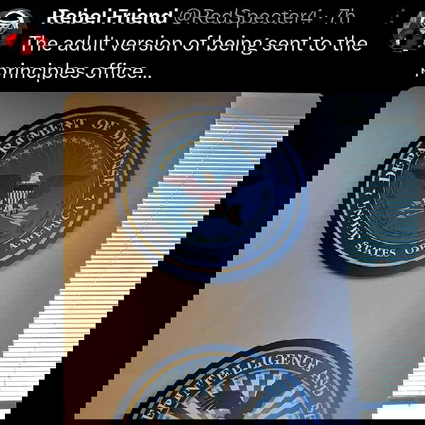 haylujan image ~ Altpins