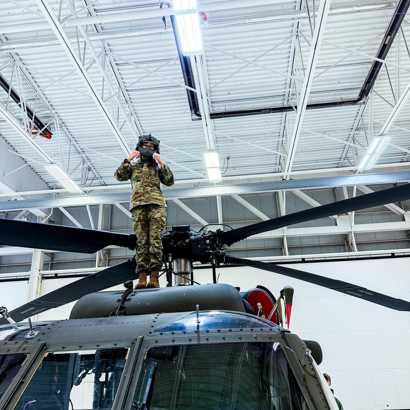 haylujan instagram image archive image