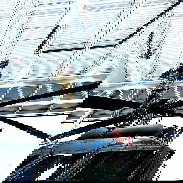 haylujan image ~ Altpins