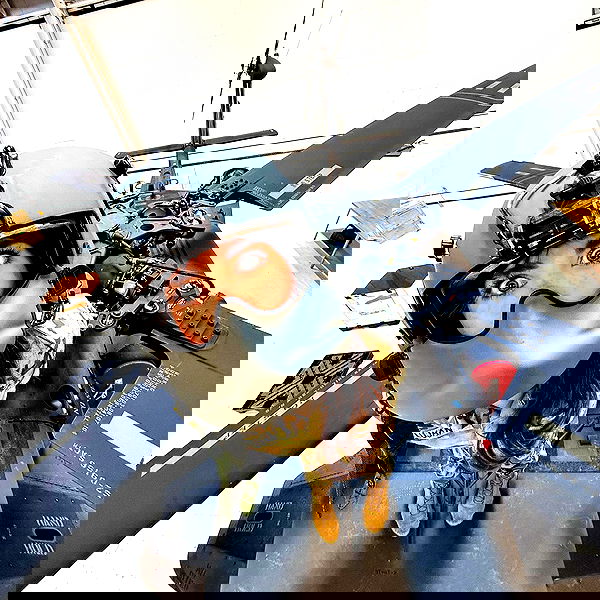 haylujan image ~ Altpins