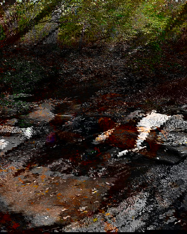 haylujan image ~ Altpins