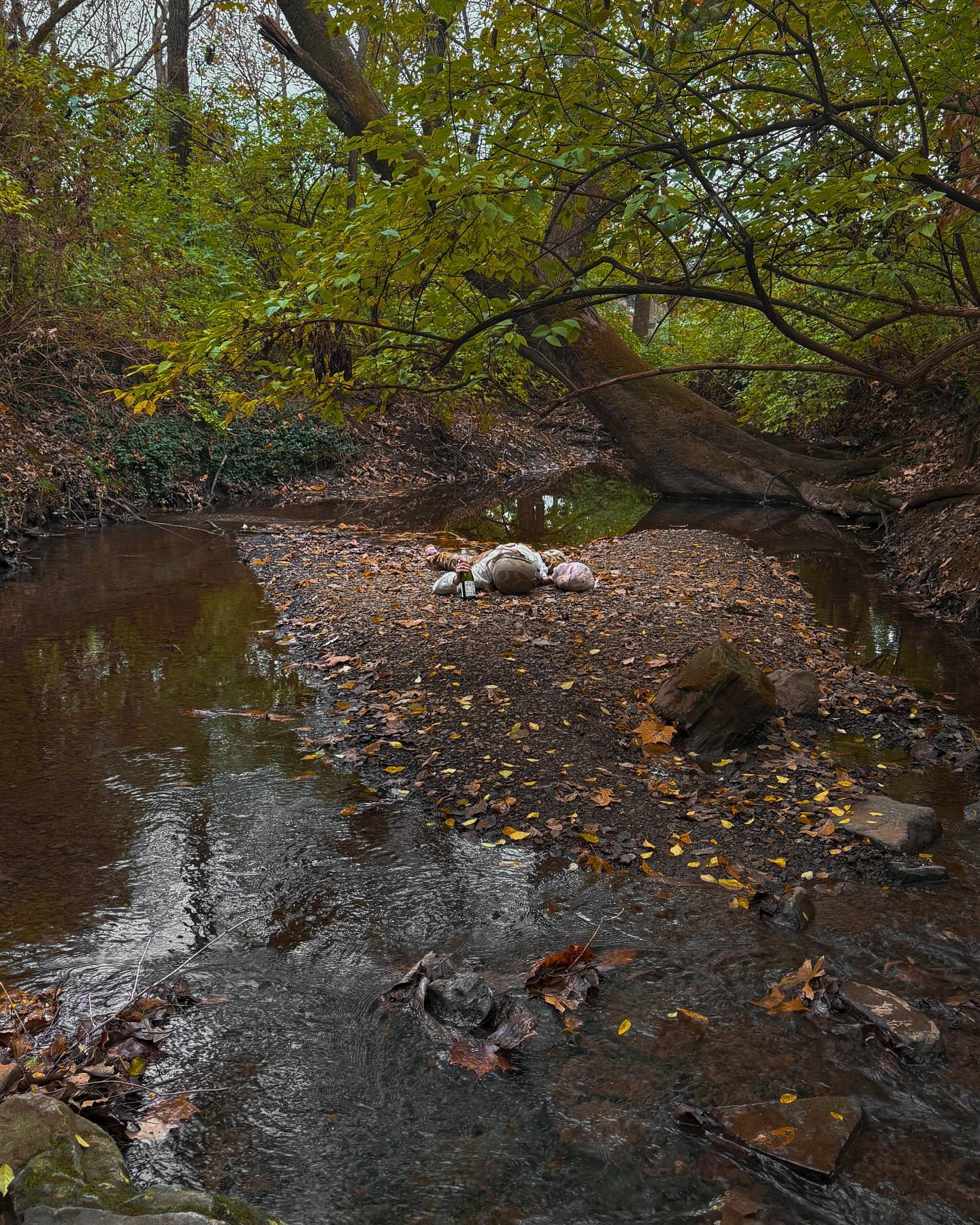 haylujan instagram image archive image