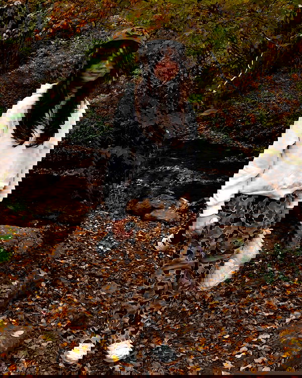 haylujan image ~ Altpins