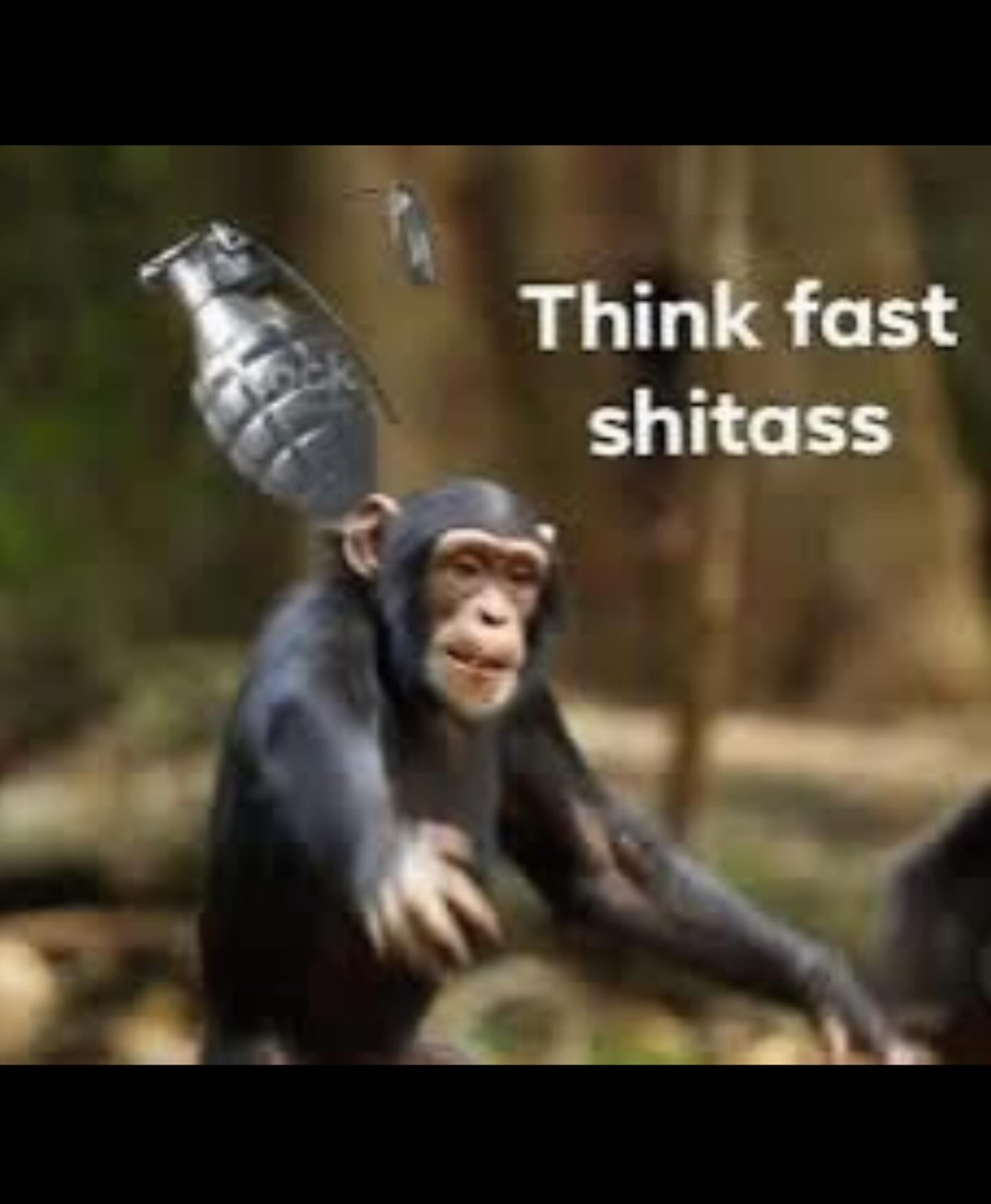 haylujan instagram image archive image