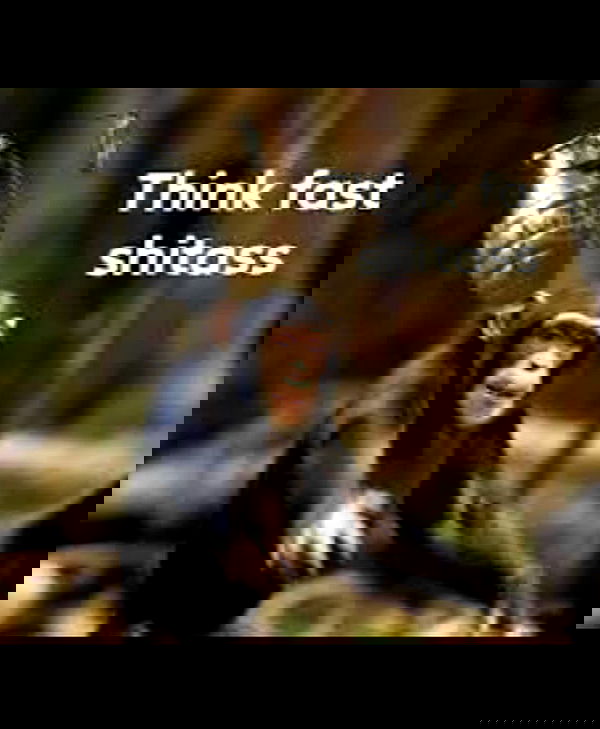 haylujan image ~ Altpins