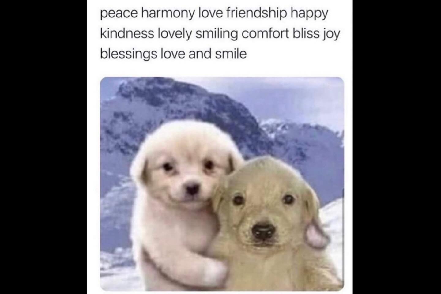 haylujan instagram image archive image