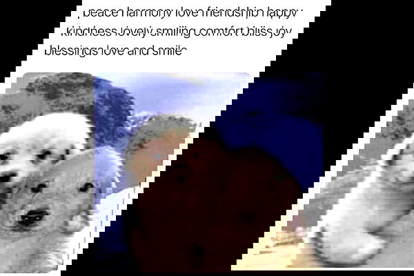 haylujan image ~ Altpins