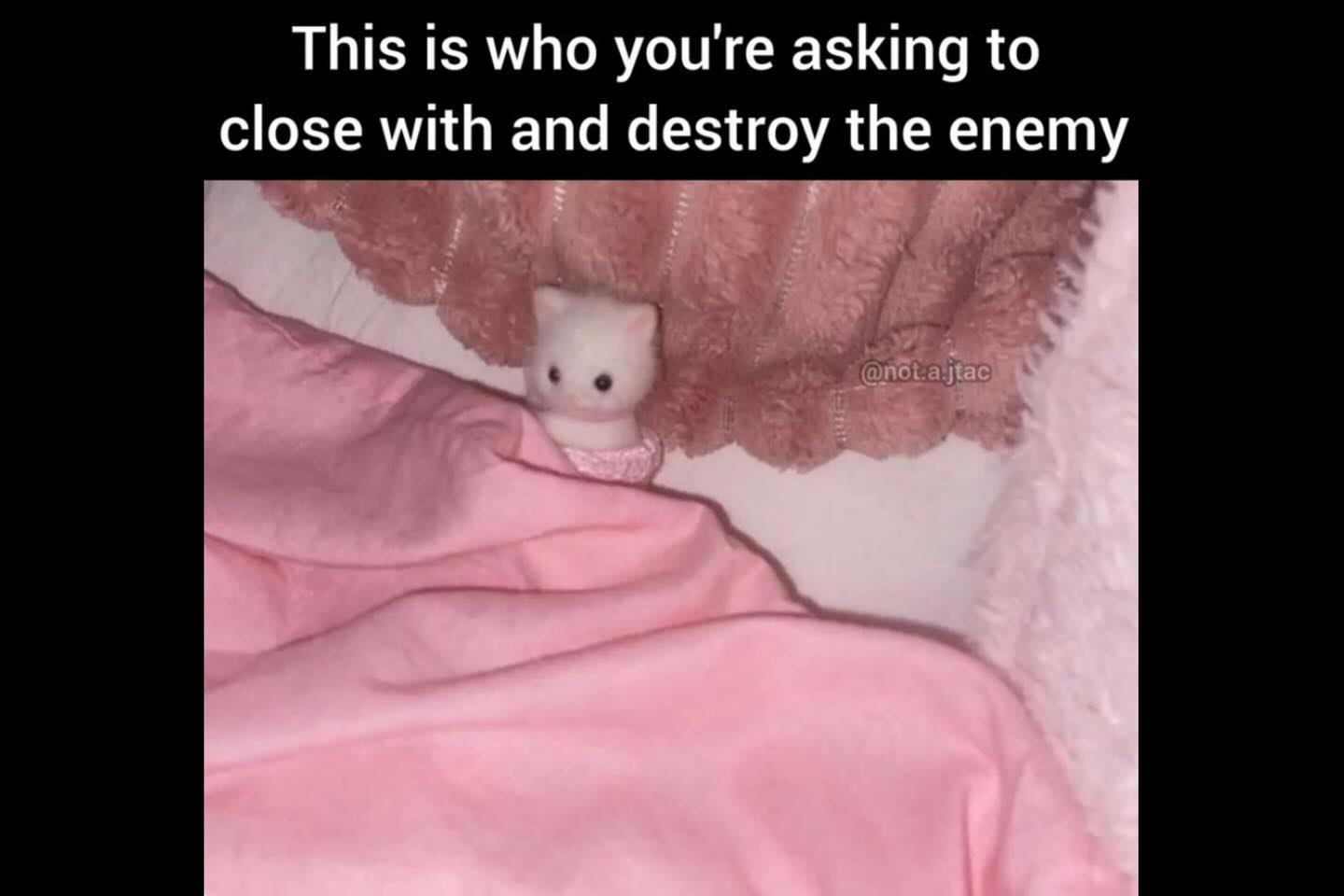 haylujan instagram image archive image