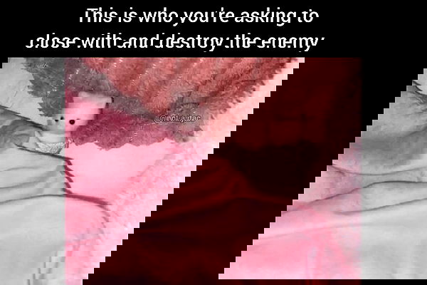 haylujan image ~ Altpins