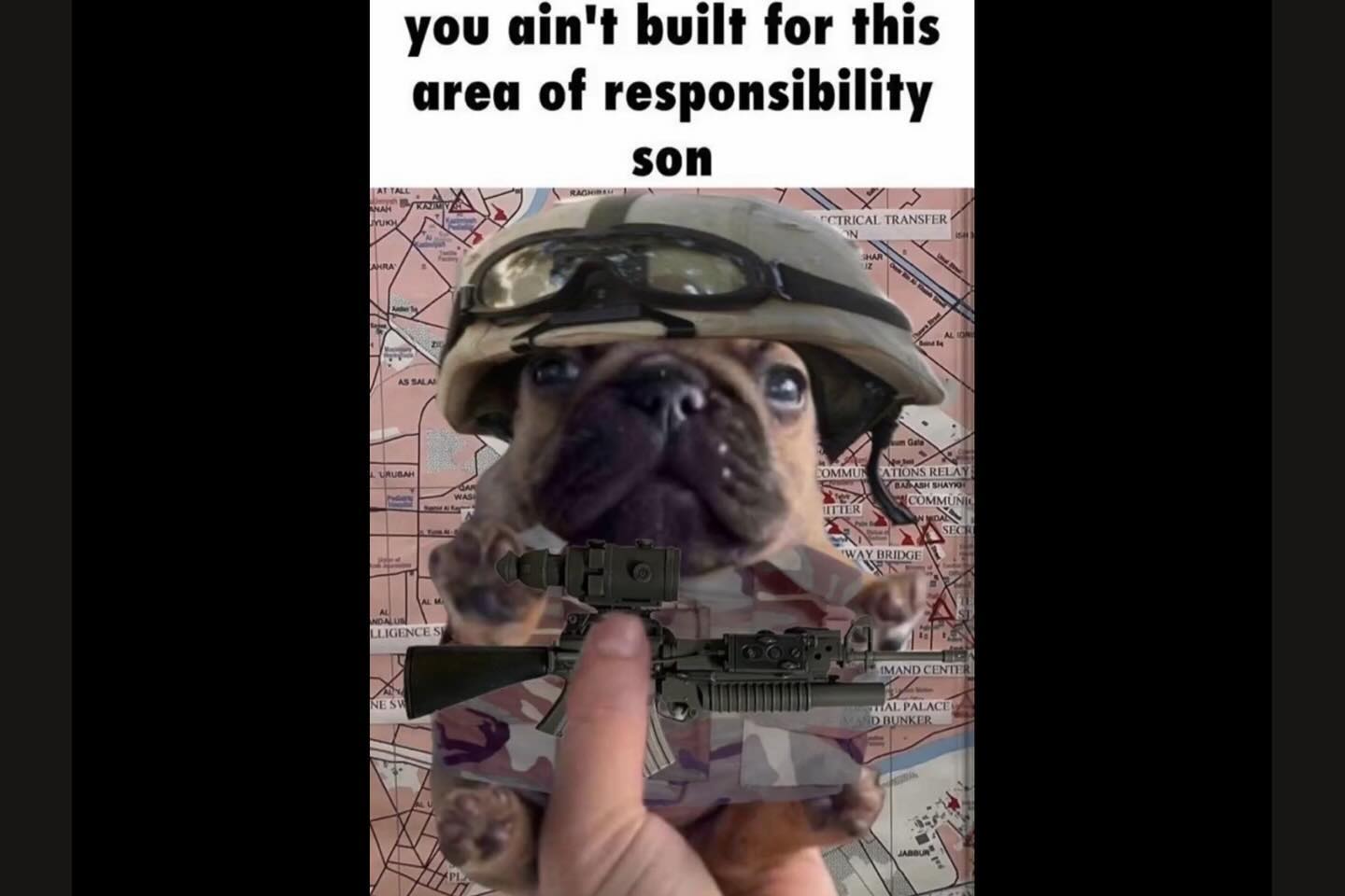 haylujan instagram image archive image