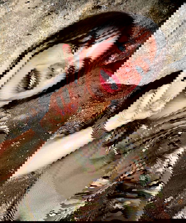 haylujan image ~ Altpins