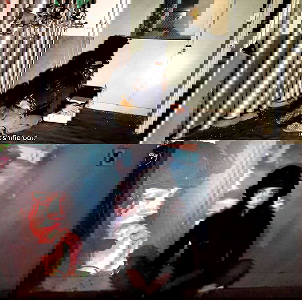 haylujan image ~ Altpins