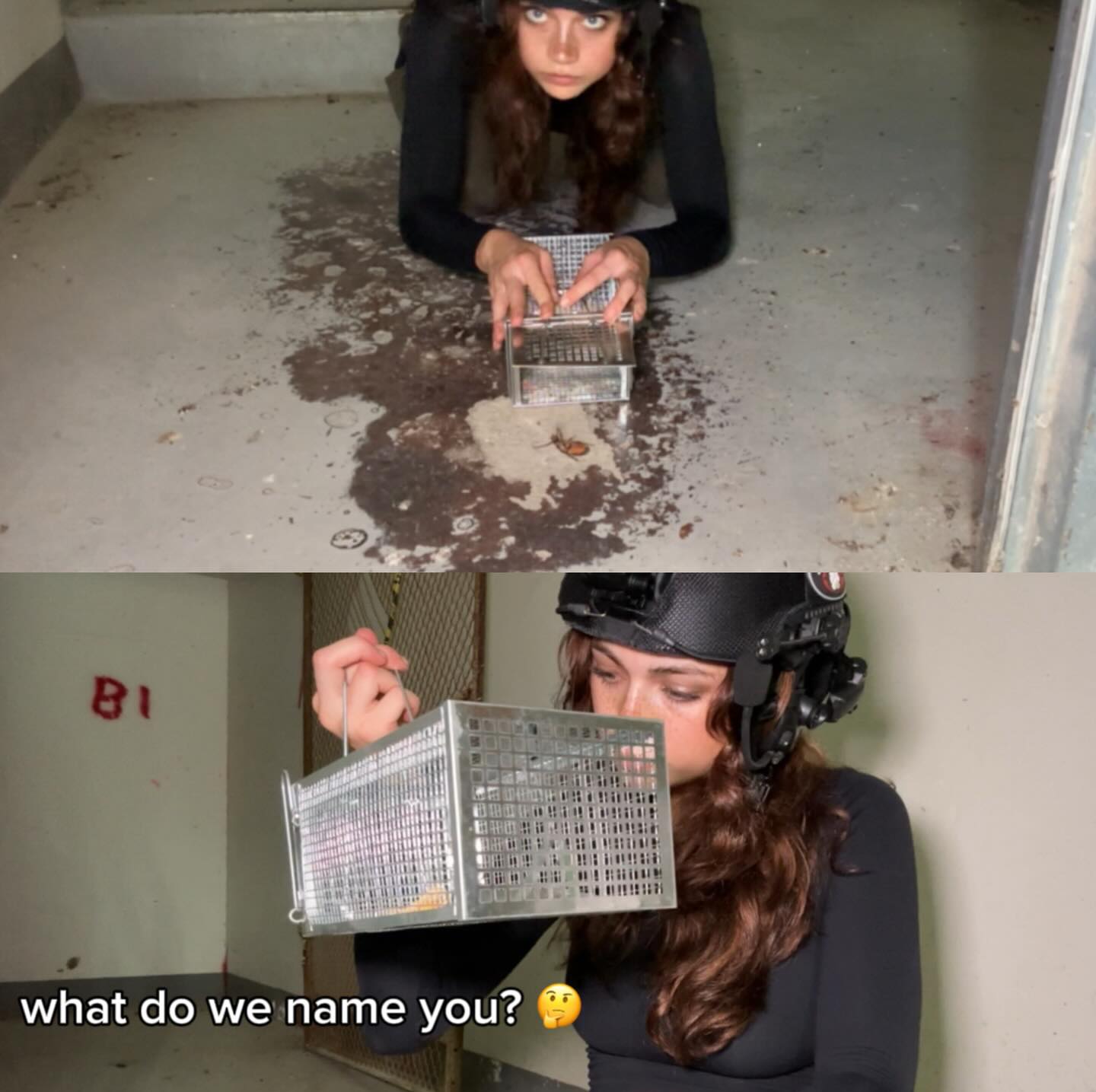 haylujan instagram image archive image