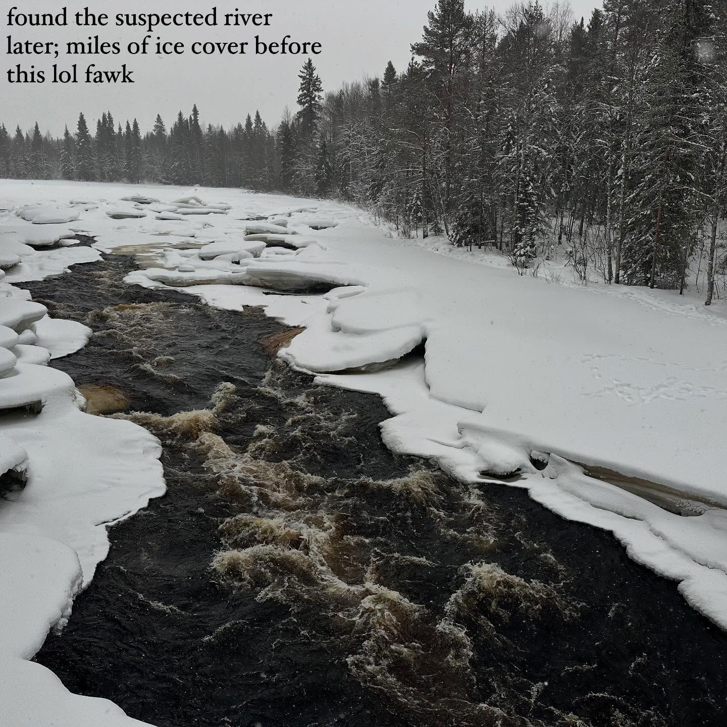 haylujan instagram image archive image