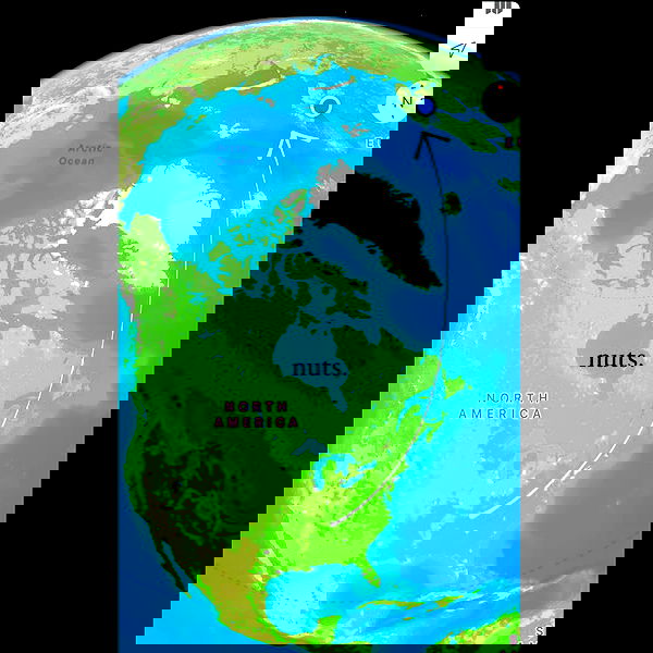 haylujan image ~ Altpins