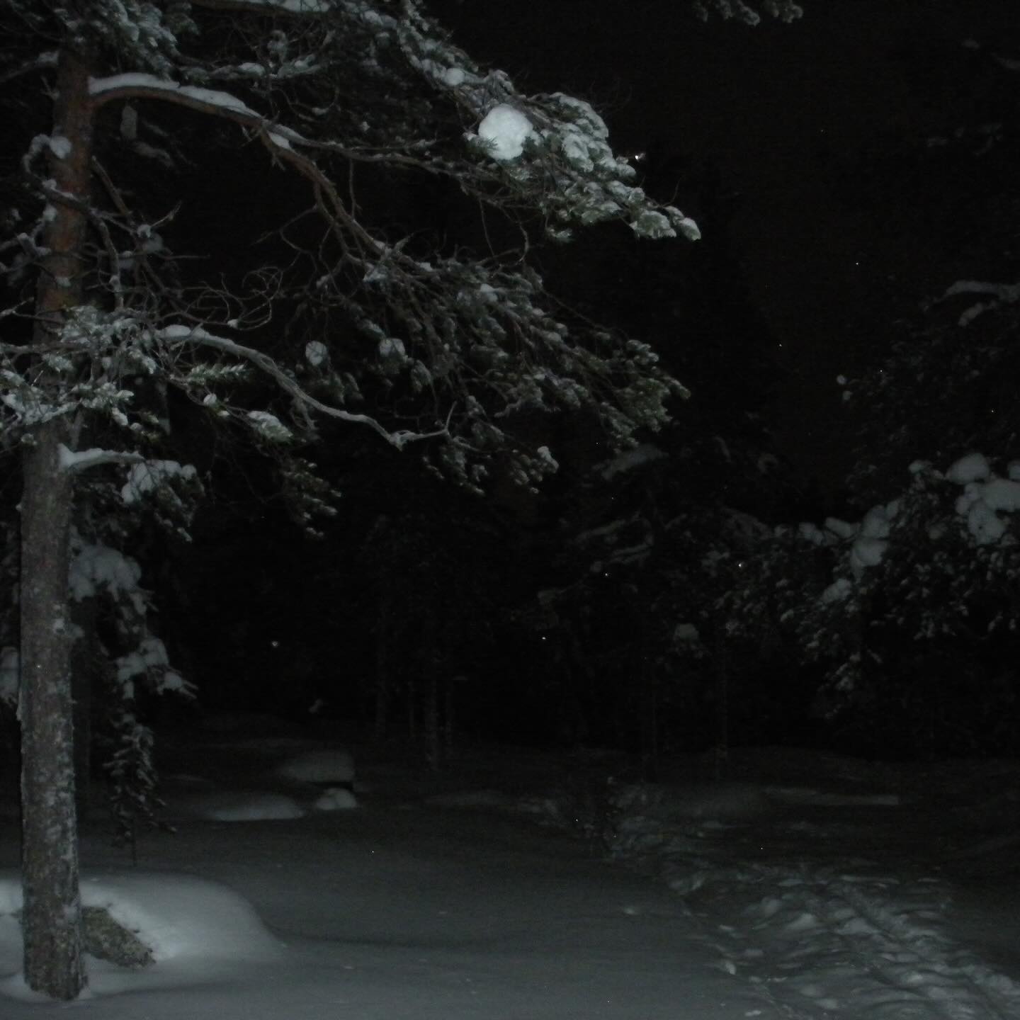 haylujan instagram image archive image