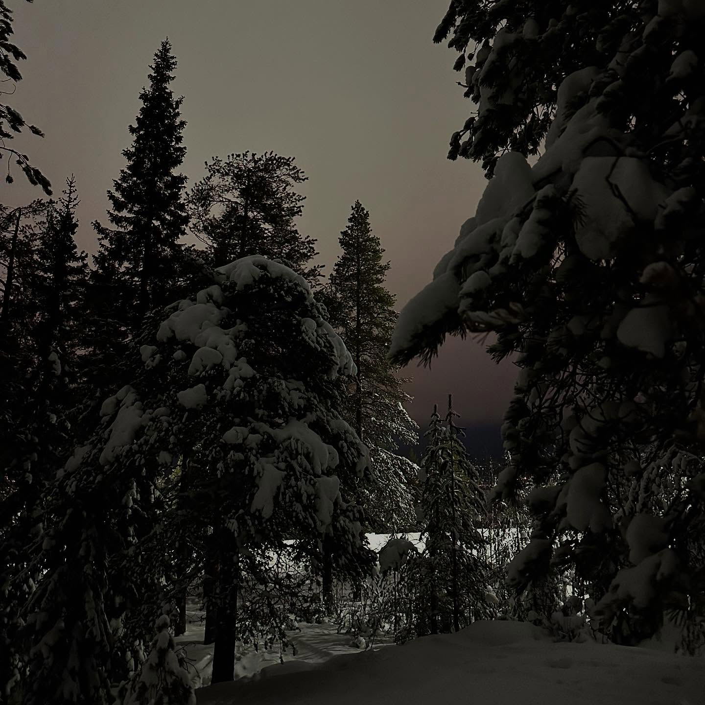 haylujan instagram image archive image