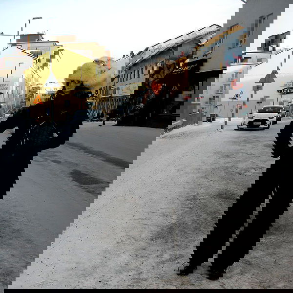 haylujan image ~ Altpins