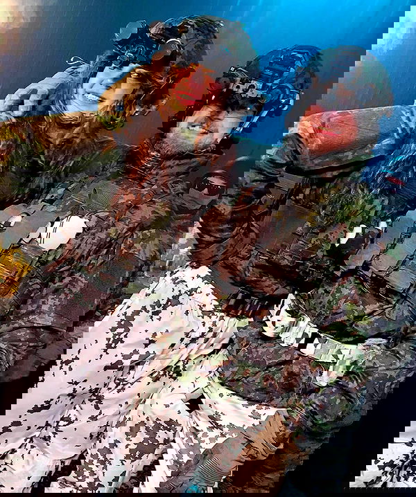 haylujan image ~ Altpins