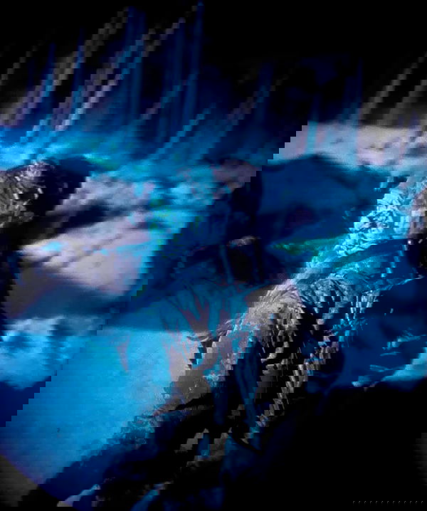 haylujan image ~ Altpins