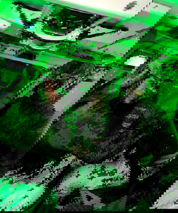 haylujan image ~ Altpins