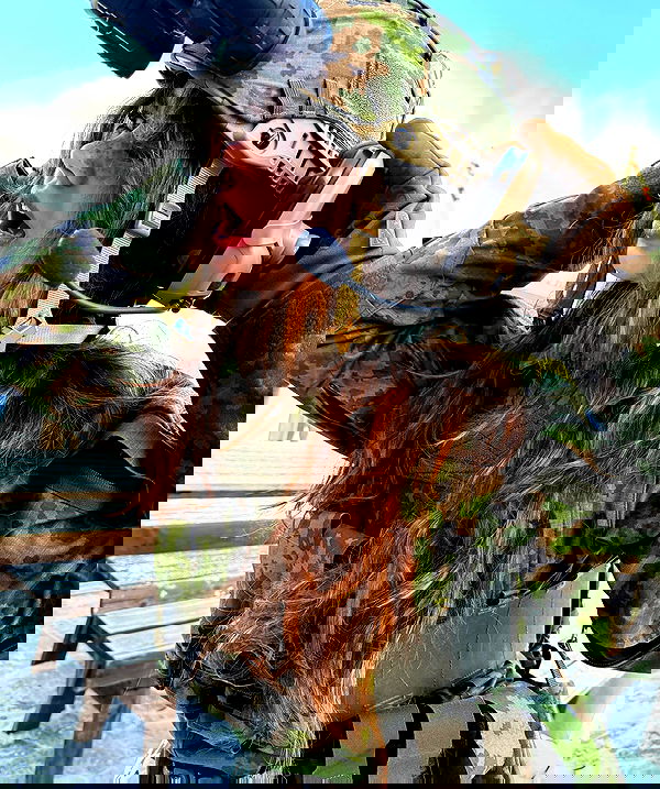 haylujan image ~ Altpins