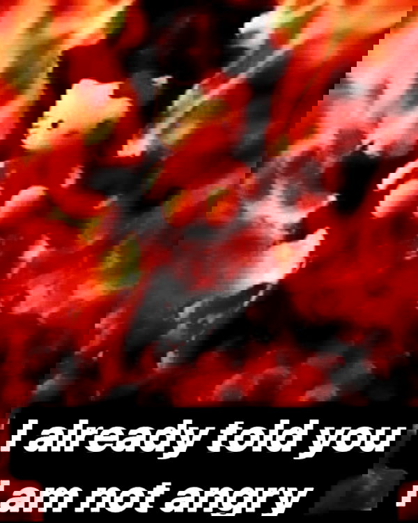 haylujan image ~ Altpins