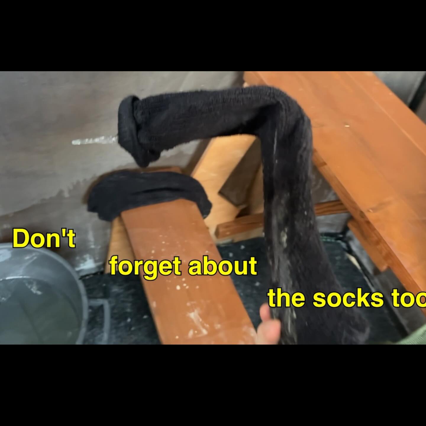 haylujan instagram image archive image