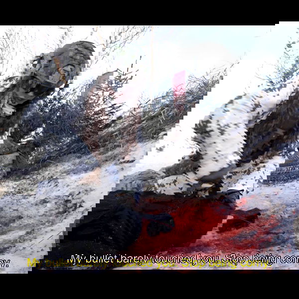 haylujan image ~ Altpins