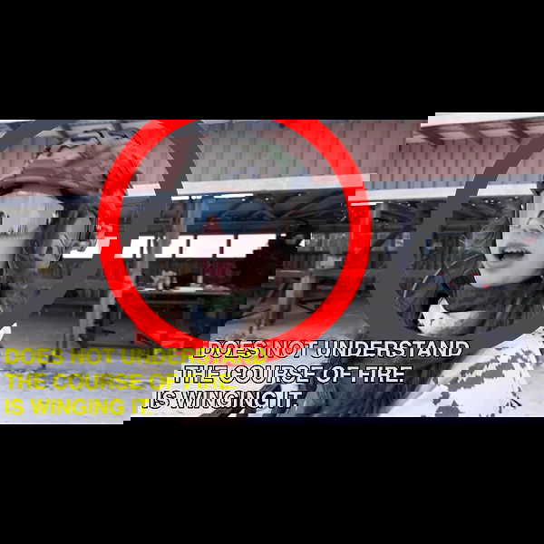 haylujan image ~ Altpins