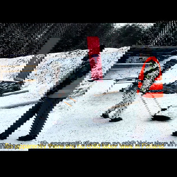 haylujan image ~ Altpins