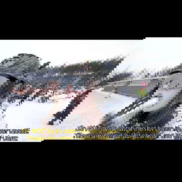 haylujan image ~ Altpins